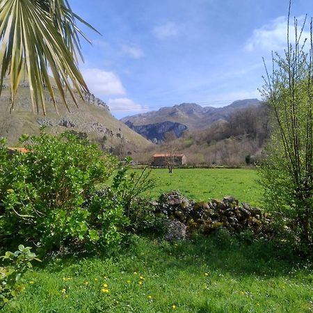 Amplia Y Comoda Casa De Piedra Con Porche Y Jardin San Roque de Riomiera Ngoại thất bức ảnh