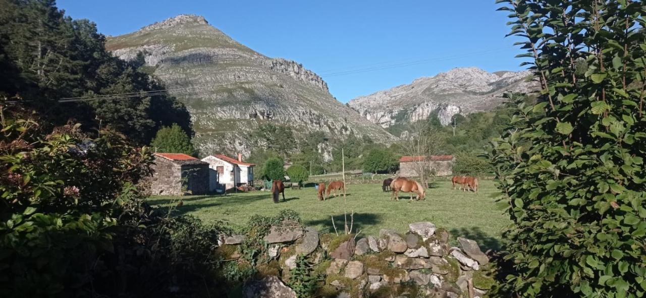 Amplia Y Comoda Casa De Piedra Con Porche Y Jardin San Roque de Riomiera Ngoại thất bức ảnh